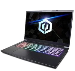 CyberPowerPC Tracer IV 17 Ryzen 7 4800H RTX 2060 laptop