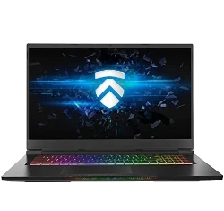 Eluktronics 17 Intel Core i7-6th Gen GTX laptop
