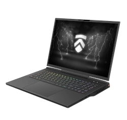 Eluktronics Mech GP 17" Intel Core i9-12th Gen RTX 3080 laptop