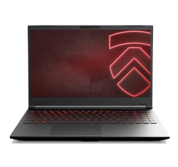 Eluktronics RP-15 G2 Gaming 15" AMD Ryzen 7 7840HS RTX 4060 laptop