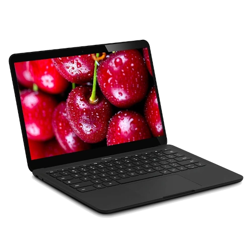 Google Pixelbook Go GO21A 13" Intel Core i5-8th Gen laptop