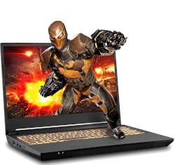 Sager NP7958F1 (Clevo NH58AF1) Ryzen 9 3900 RTX 2070 laptop